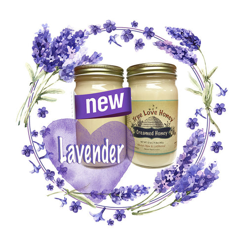 Creamed Lavender Honey (8oz jars) with FREE SHIPPING in the USA