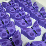Bath Bomb - Butterfly - 5oz