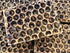 3 Pack Creosote,(Chaparral) & honey Soap (Hand crafted) MIX & MATCH