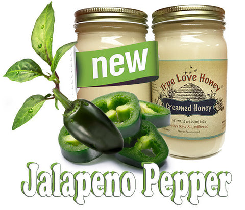 Creamed Jalapeño Honey (8oz jars) with FREE SHIPPING in the USA
